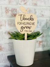 Load image into Gallery viewer, Teacher Apple Plant Pick