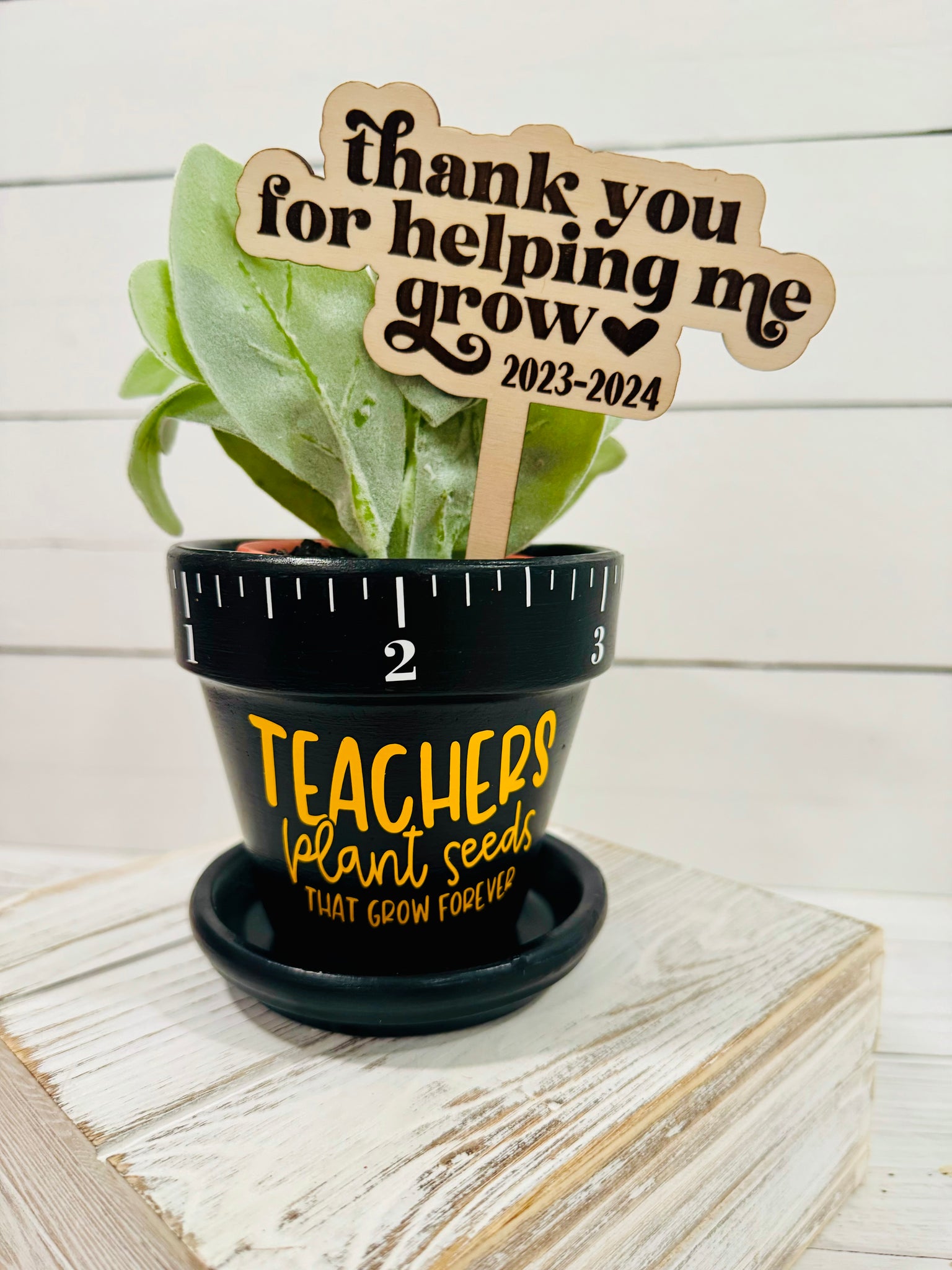 teacher plant pot Teacher Appreciation Flower Pot