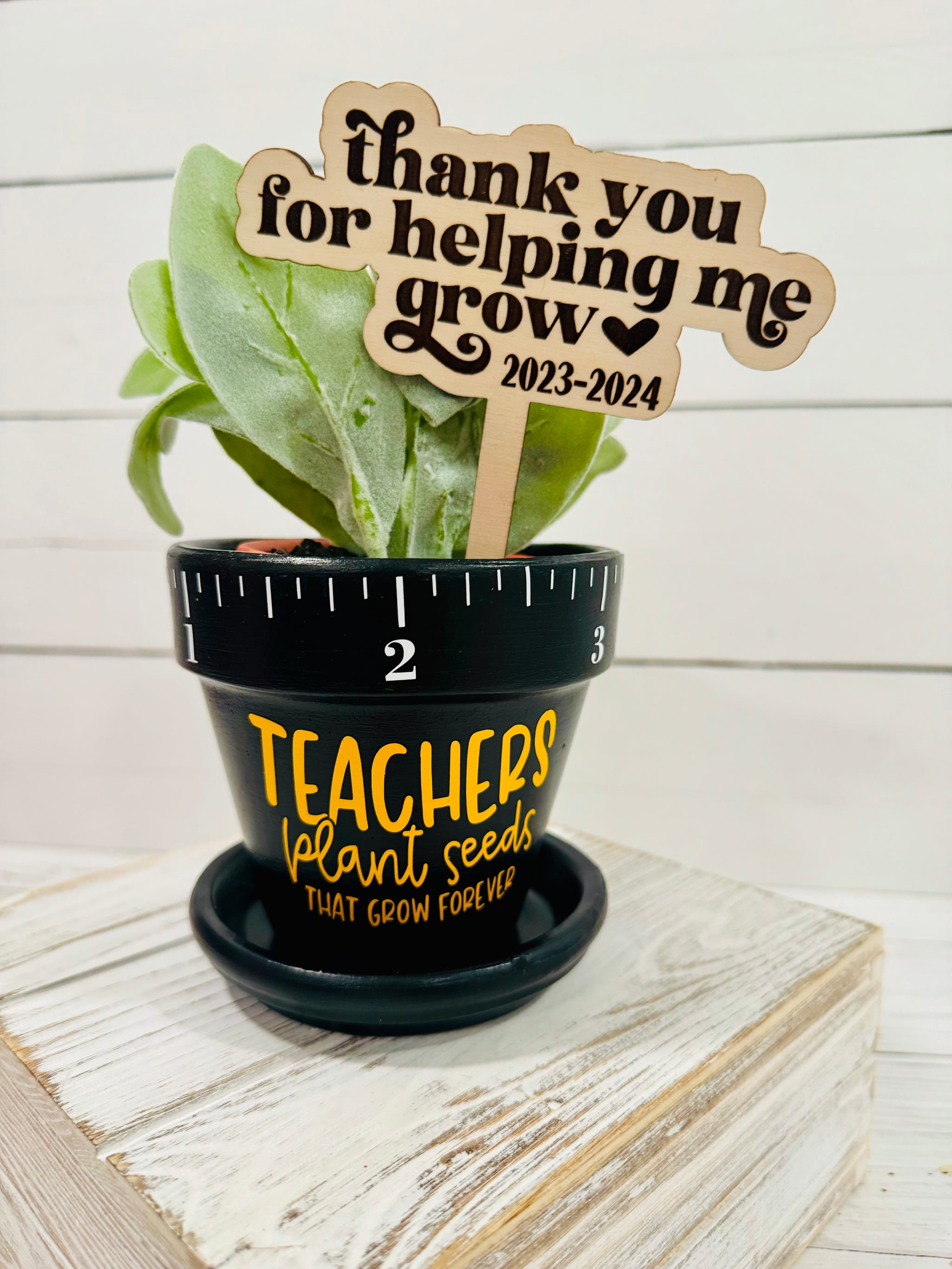 plant pots for teachers Teacher Appreciation Flower Pot